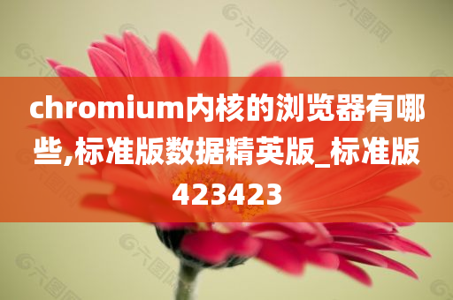 chromium内核的浏览器有哪些,标准版数据精英版_标准版423423