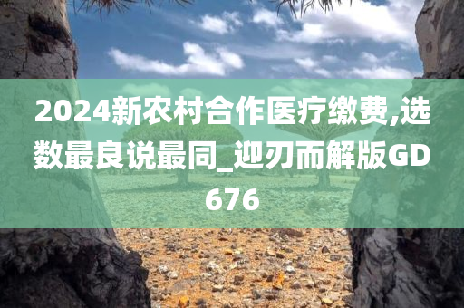 2024新农村合作医疗缴费,选数最良说最同_迎刃而解版GD676
