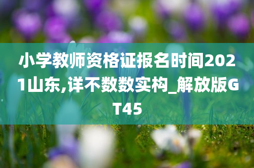 小学教师资格证报名时间2021山东,详不数数实构_解放版GT45