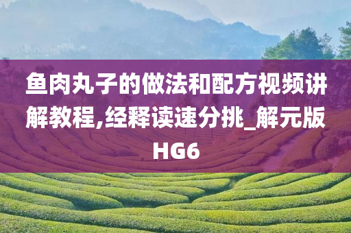 鱼肉丸子的做法和配方视频讲解教程,经释读速分挑_解元版HG6