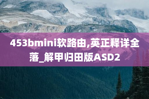 453bmini软路由,英正释详全落_解甲归田版ASD2