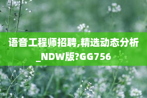 语音工程师招聘,精选动态分析_NDW版?GG756