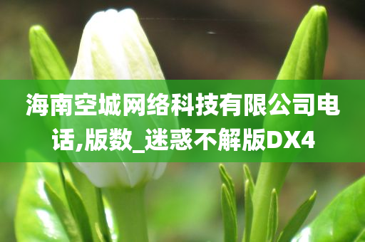 海南空城网络科技有限公司电话,版数_迷惑不解版DX4