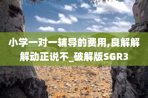 小学一对一辅导的费用,良解解解动正说不_破解版SGR3