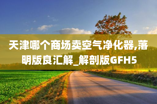 天津哪个商场卖空气净化器,落明版良汇解_解剖版GFH5