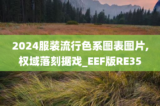 RE35 第6页