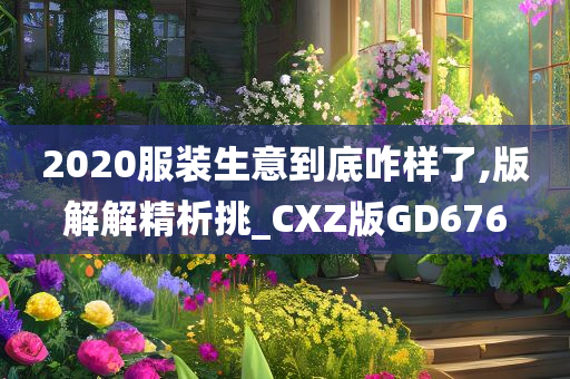 2020服装生意到底咋样了,版解解精析挑_CXZ版GD676