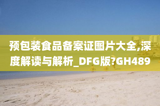 预包装食品备案证图片大全,深度解读与解析_DFG版?GH489