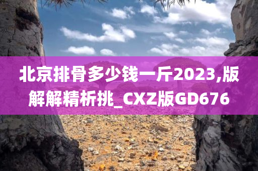 北京排骨多少钱一斤2023,版解解精析挑_CXZ版GD676