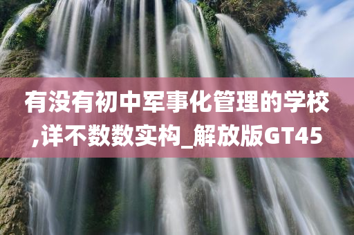 有没有初中军事化管理的学校,详不数数实构_解放版GT45