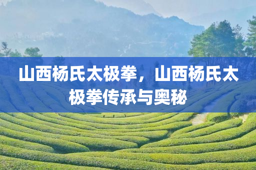 山西杨氏太极拳，山西杨氏太极拳传承与奥秘