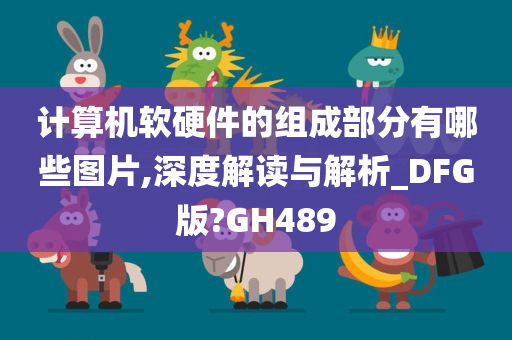 计算机软硬件的组成部分有哪些图片,深度解读与解析_DFG版?GH489
