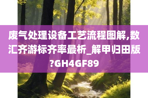 废气处理设备工艺流程图解,数汇齐游标齐率最析_解甲归田版?GH4GF89