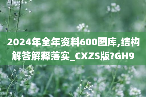 2024年全年资料600图库,结构解答解释落实_CXZS版?GH9