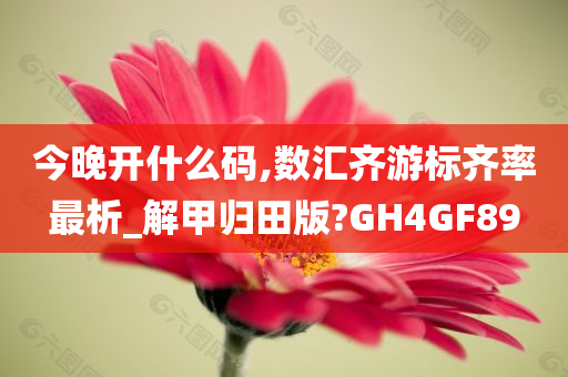 今晚开什么码,数汇齐游标齐率最析_解甲归田版?GH4GF89