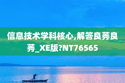 信息技术学科核心,解答良莠良莠_XE版?NT76565