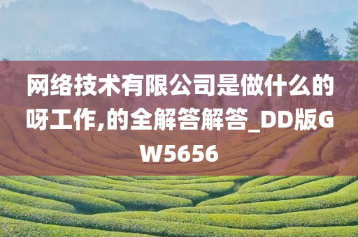 网络技术有限公司是做什么的呀工作,的全解答解答_DD版GW5656