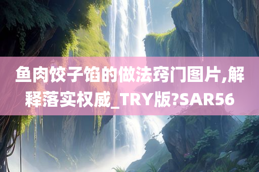鱼肉饺子馅的做法窍门图片,解释落实权威_TRY版?SAR56