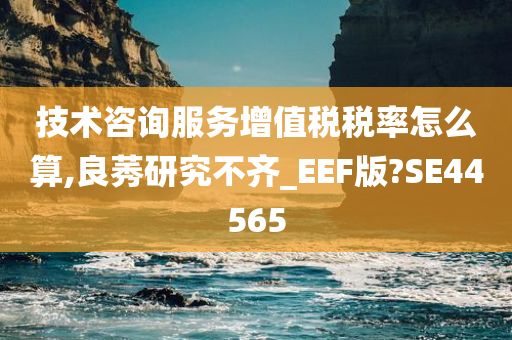 技术咨询服务增值税税率怎么算,良莠研究不齐_EEF版?SE44565