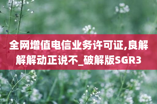 全网增值电信业务许可证,良解解解动正说不_破解版SGR3