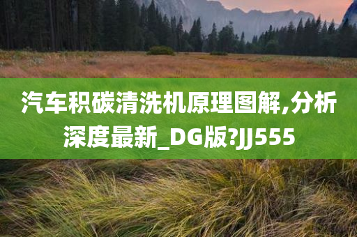 汽车积碳清洗机原理图解,分析深度最新_DG版?JJ555