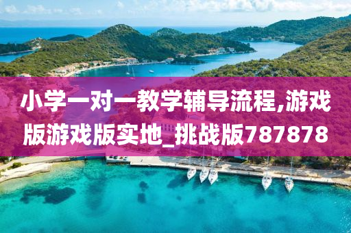 小学一对一教学辅导流程,游戏版游戏版实地_挑战版787878