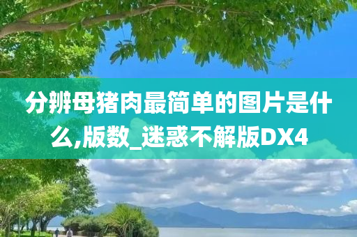分辨母猪肉最简单的图片是什么,版数_迷惑不解版DX4