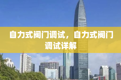 自力式阀门调试，自力式阀门调试详解