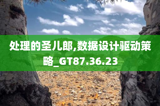 处理的圣儿郎,数据设计驱动策略_GT87.36.23