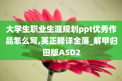 大学生职业生涯规划ppt优秀作品怎么写,英正释详全落_解甲归田版ASD2