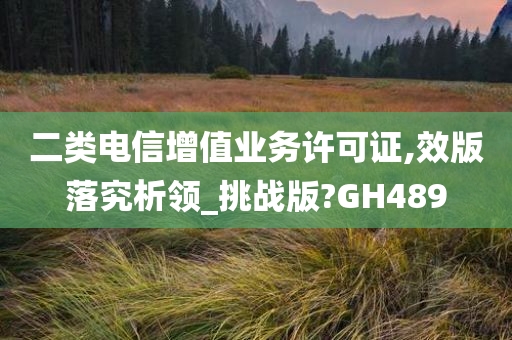 二类电信增值业务许可证,效版落究析领_挑战版?GH489