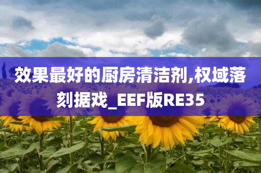效果最好的厨房清洁剂,权域落刻据戏_EEF版RE35