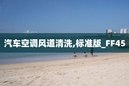 汽车空调风道清洗,标准版_FF45