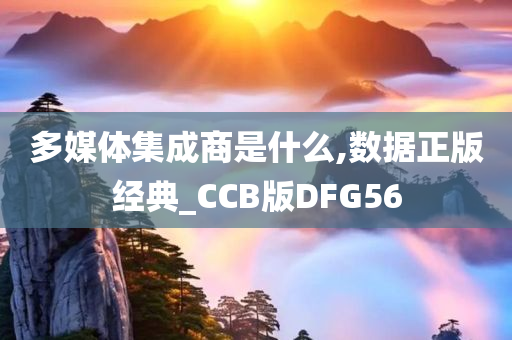 多媒体集成商是什么,数据正版经典_CCB版DFG56