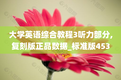 大学英语综合教程3听力部分,复刻版正品数据_标准版453