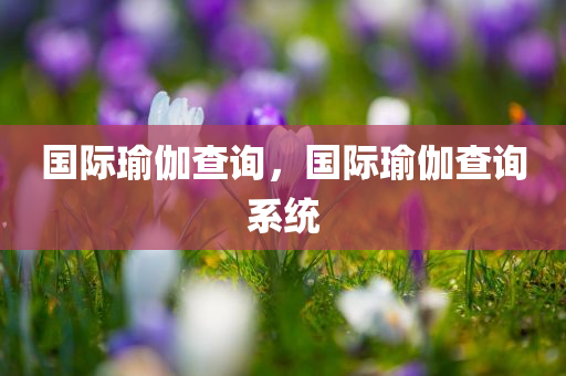 国际瑜伽查询