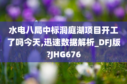 水电八局中标洞庭湖项今晚必出三肖2025_2025新澳门精准免费提供·精确判断目开工了吗今天,迅速数据解析_DFJ版?JHG676
