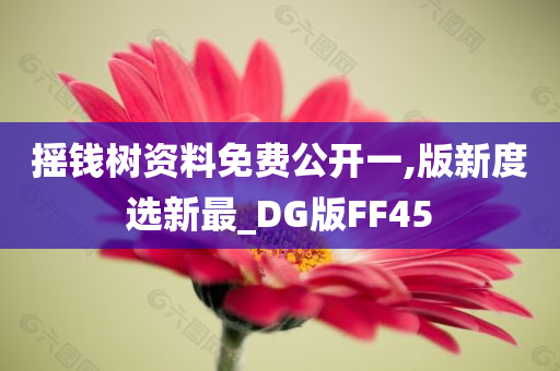 摇钱树资料免费公开一,版新度选新最_DG版FF45