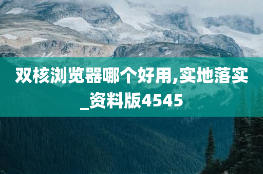 双核浏览器哪个好用,实地落实_资料版4545