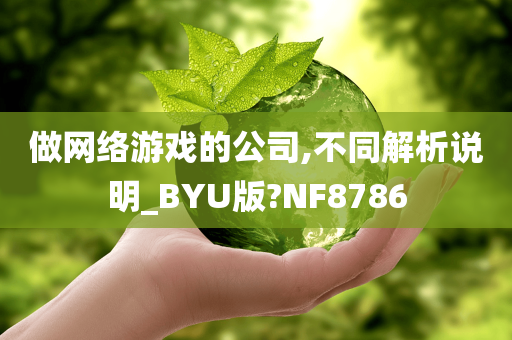 网络游戏公司
