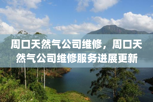 周口天然气公司维修