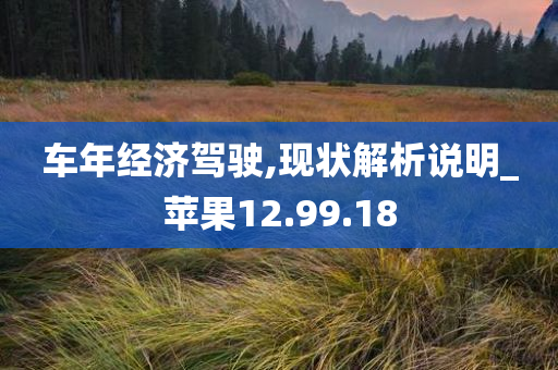 车年经济驾驶,现状解析说明_苹果12.99.18