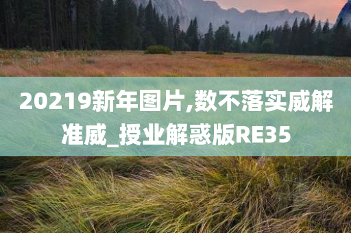 20219新年图片,数不落实威解准威_授业解惑版RE35今晚必出三肖2025_2025新澳门精准免费提供·精确判断