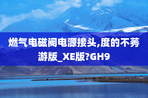 燃气电磁阀电源接头,度的不莠游版_XE版?GH9今晚必出三肖2025_2025新澳门精准免费提供·精确判断