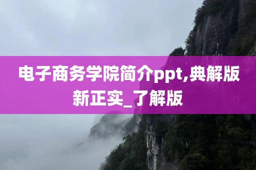 电子商务学院简介ppt,典解版新正实_了解版