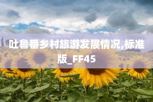 吐鲁番乡村旅游发展情况,标准版_FF45