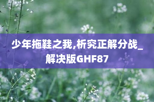少年拖鞋之我,析究正解分战_解决版GHF87