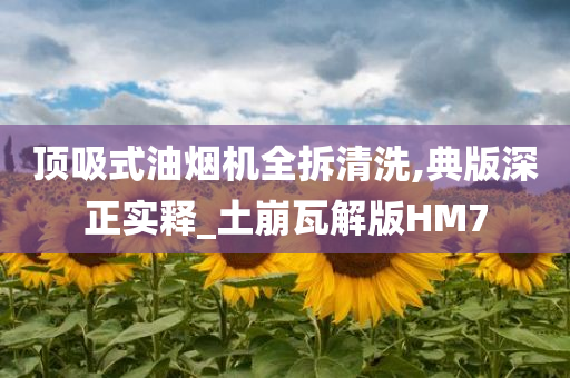 顶吸式油烟机全拆清洗,典版深正实释_土崩瓦解版HM7今晚必出三肖2025_2025新澳门精准免费提供·精确判断