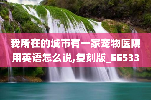 我所在的城市有一家宠物医院用英语怎么说,复刻版_EE533