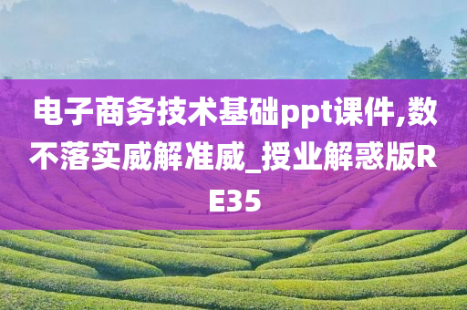 电子商务技术基础ppt课件,数不落实威解准威_授业解惑版RE35